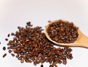 目に良い お茶 ハブ茶の効果 副作用はある 茶卸総本舗ブログ